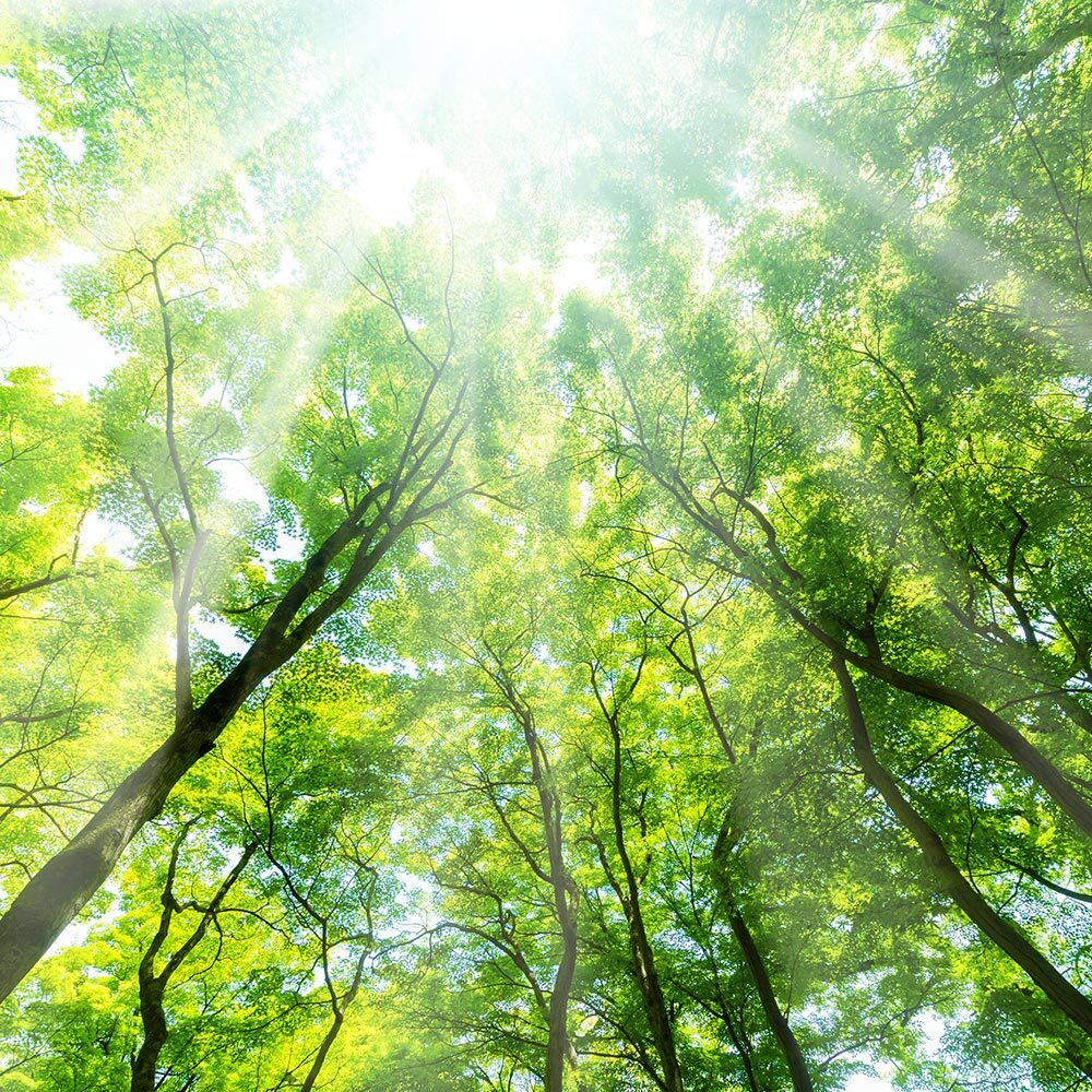 企業理念 住み慣れた場で、その人らしい生活ができる社会の実現