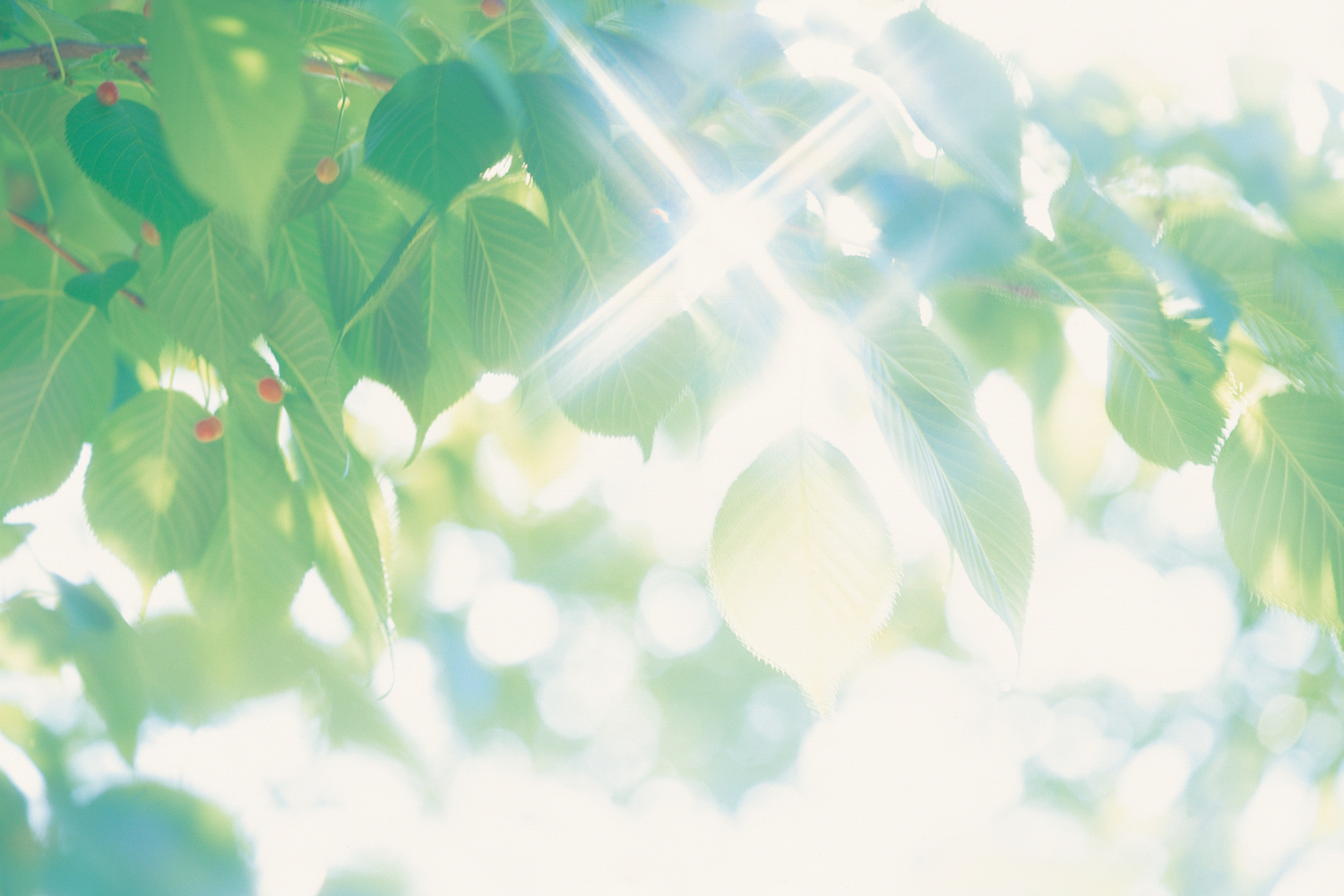 草加市で、在宅医療と暮らしを支える