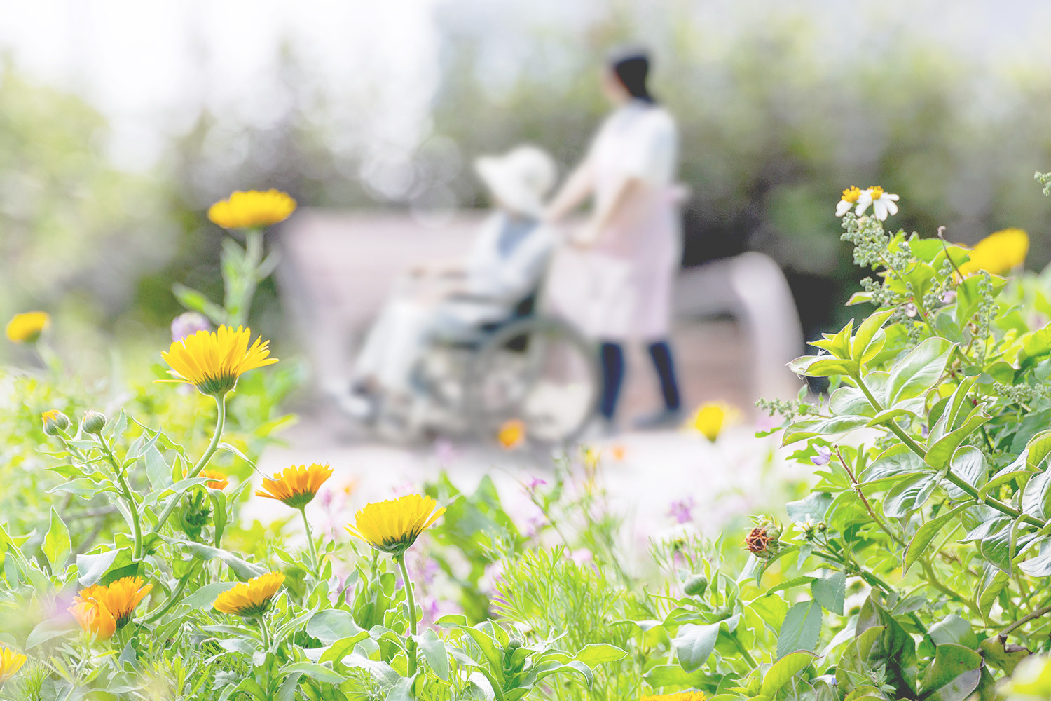 住み慣れた町で“その人らしく生きる力”に寄り添う