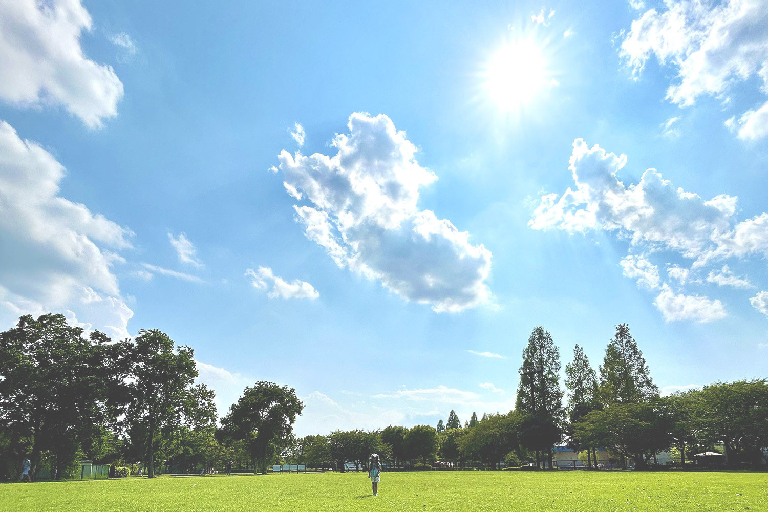 在宅ケアプラットフォームのケアステーションひかり